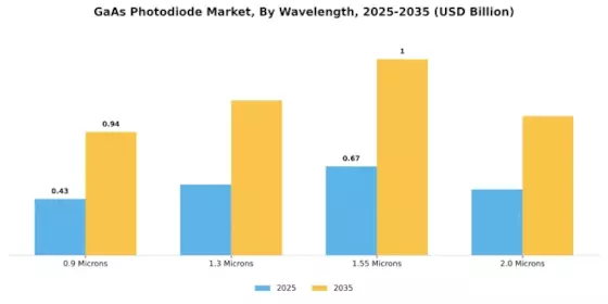 GaAs Photodiode Market Segment Image 1