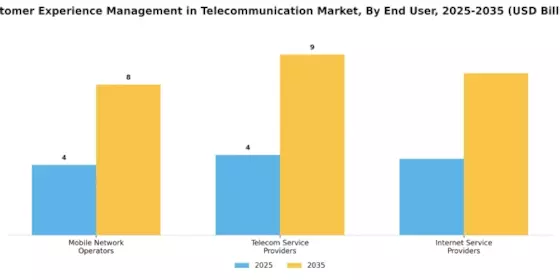 Customer Experience Management in Telecommunication Market Segment Image 3