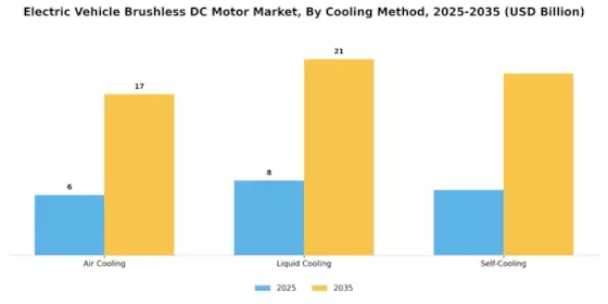 Electric Vehicle Brushless Dc Motor Market Segment Image 3