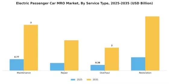 Electric Passenger Car MRO Market Segment Image 0