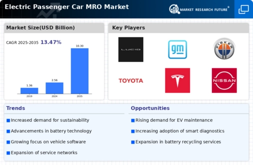 Electric Passenger Car MRO Market Infographic