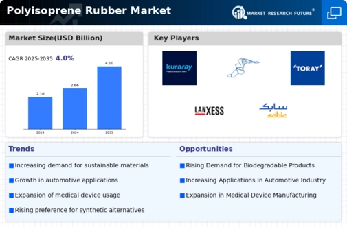 Polyisoprene Rubber Market Infographic