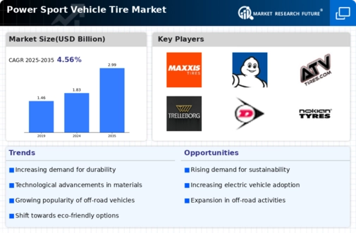 Power Sport Vehicle Tire Market Infographic