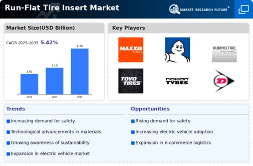Run Flat Tire Insert Market Infographic