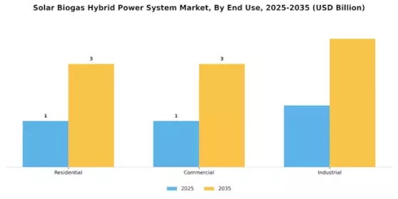 Solar Bio Gas Hybrid Power System Market Segment Image 2