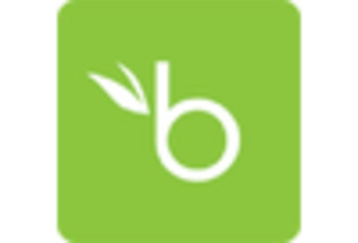 Continuous Integration And Delivery Tool Market key player