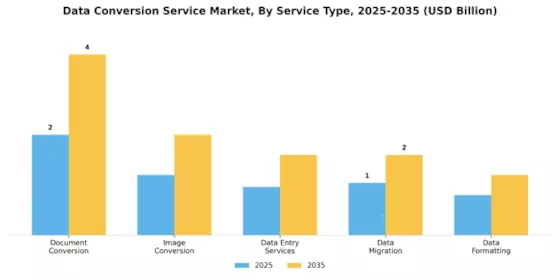 Data Conversion Service Market Segment Image 0