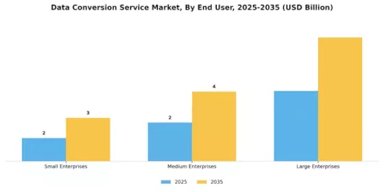 Data Conversion Service Market Segment Image 3