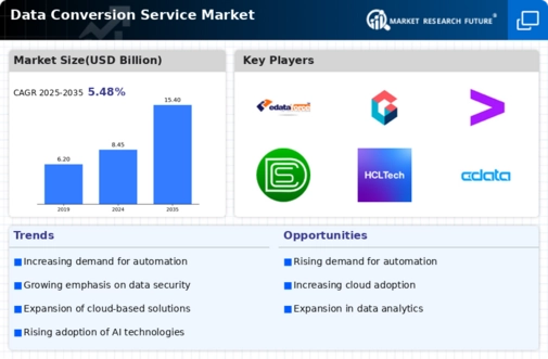 Data Conversion Service Market Infographic