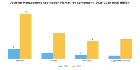 Decision Management Application Market Segment Image 3