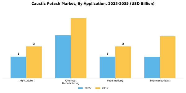 Caustic Potash Market Segment Image 0