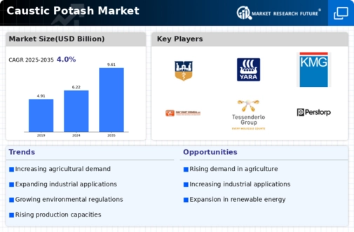 Caustic Potash Market Infographic