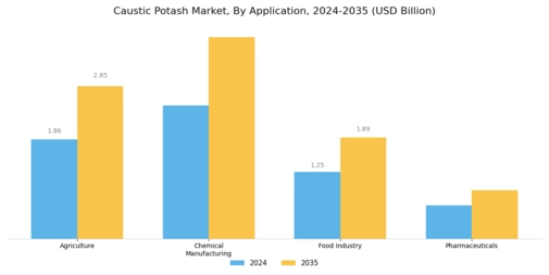 Caustic Potash Market Segment Image 0