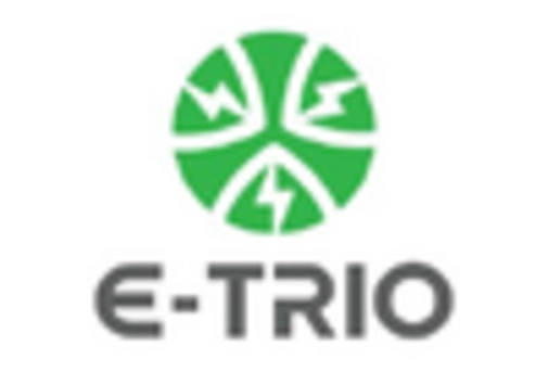 Three Wheel E Scooter Market key player