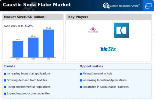 Caustic Soda Flake Market Infographic