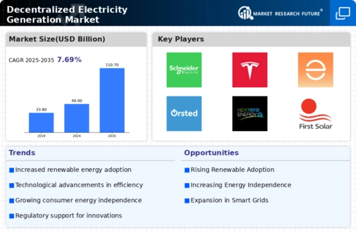 Decentralized Electricity Generation Market Infographic