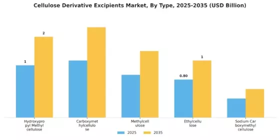 Cellulose Derivative Excipients Market Segment Image 1
