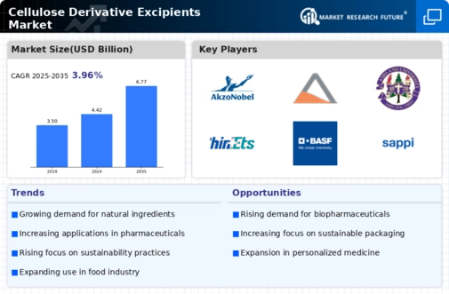 Cellulose Derivative Excipients Market Infographic