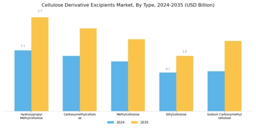 Cellulose Derivative Excipients Market Segment Image 1