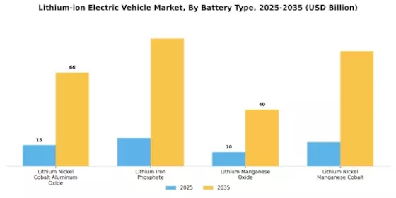 Lithium Ion Electric Vehicle Market Segment Image 3