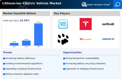 Lithium Ion Electric Vehicle Market Infographic
