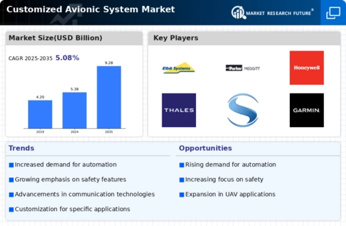 Customized Avionic System Market Infographic