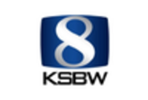 Chemical Injection Metering Pumps Valves Market key player