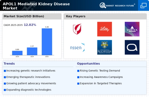 APOL1 Mediated Kidney Disease Market Infographic