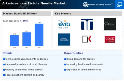 Arteriovenous Fistula Needle Market Infographic