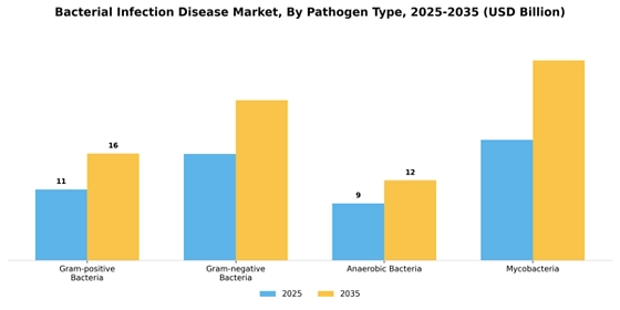 Bacterial Infection Disease Market
 Segment Image 2