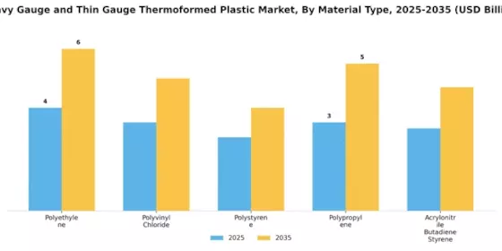 Heavy Gauge Thin Gauge Thermoformed Plastic Market Segment Image 2
