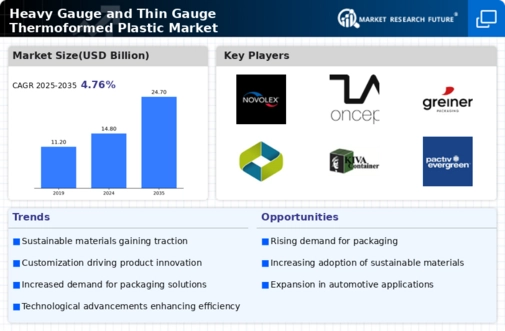 Heavy Gauge Thin Gauge Thermoformed Plastic Market Infographic