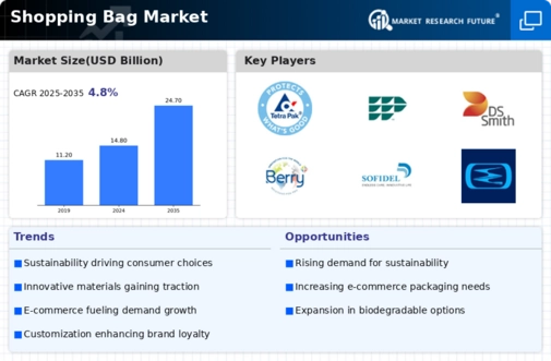 Shopping Bag Market Infographic