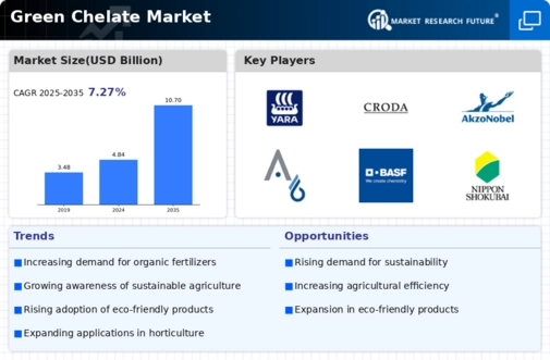 Green Chelate Market Infographic
