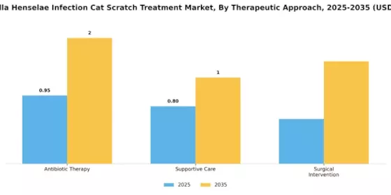 Bartonella Henselae Infection Cat Scratch Treatment Market Segment Image 0