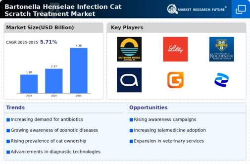 Bartonella Henselae Infection Cat Scratch Treatment Market Infographic