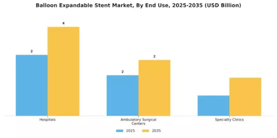 Balloon Expandable Stent Market Segment Image 3