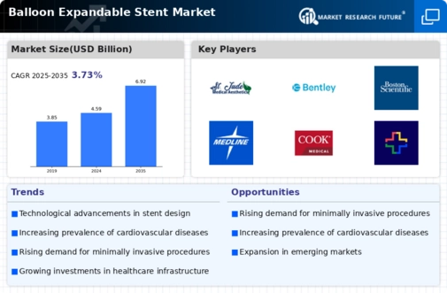 Balloon Expandable Stent Market Infographic