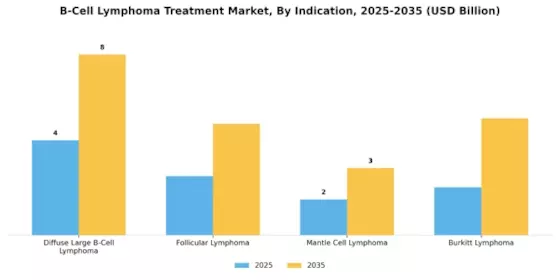 B Cell Lymphoma Treatment Market Segment Image 1