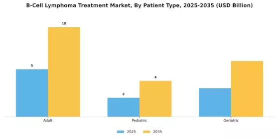 B Cell Lymphoma Treatment Market Segment Image 2