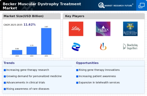 Becker Muscular Dystrophy Treatment Market
 Infographic