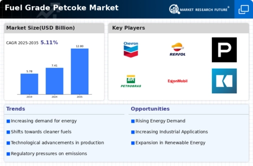 Fuel Grade Petcoke Market Infographic