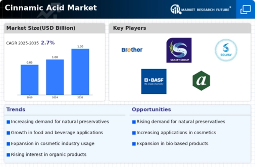 Cinnamic Acid Market Infographic