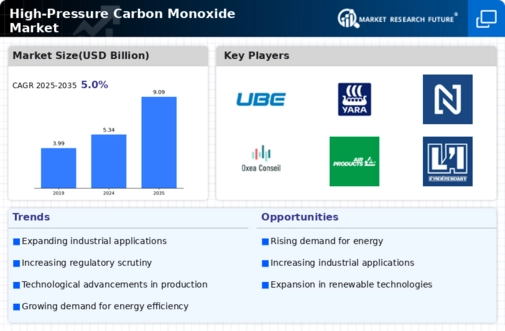 High Pressure Carbon Monoxide Market Infographic