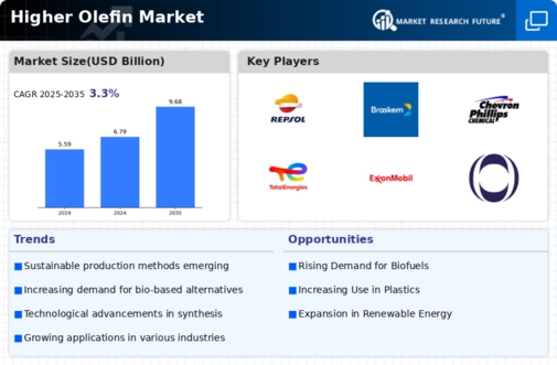 Higher Olefin Market Infographic