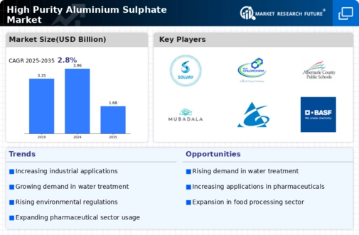 High Purity Aluminium Sulphate Market Infographic