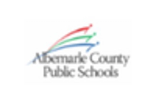 High Purity Aluminium Sulphate Market key player