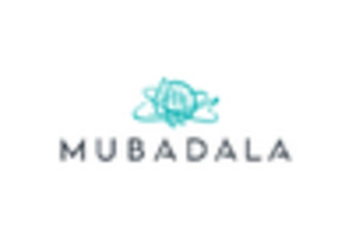 High Purity Aluminium Sulphate Market key player