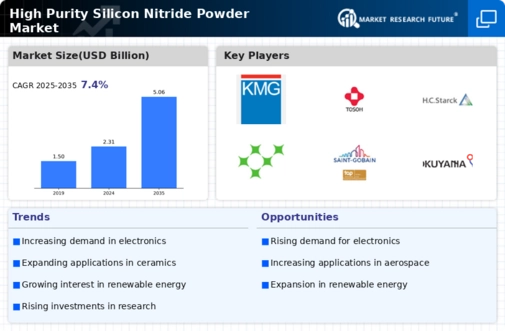 High Purity Silicon Nitride Powder Market Infographic