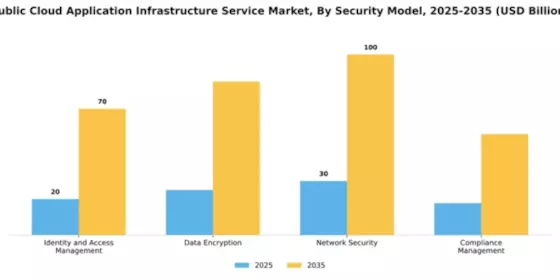 Public Cloud Application Infrastructure Service Market Segment Image 3